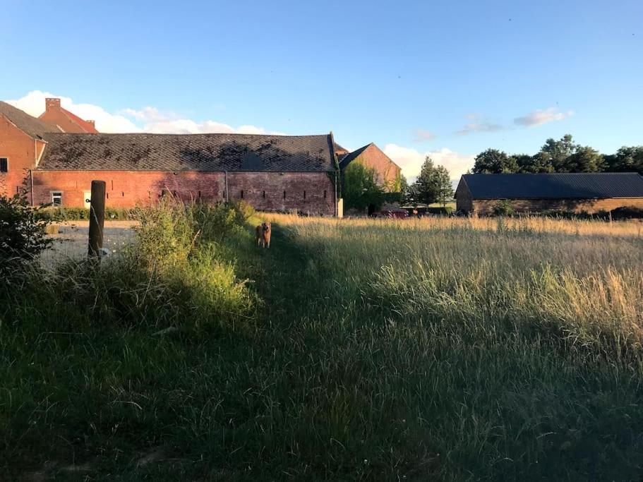 Le Cottage - Maison De 6 A 8 Personnes - La Ferme Du Try Frasnes-lez-Gosselies Eksteriør bilde
