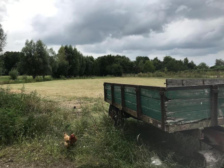 Le Cottage - Maison De 6 A 8 Personnes - La Ferme Du Try Frasnes-lez-Gosselies Eksteriør bilde